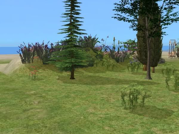 snapshot_00000004_9ab868dc.jpg