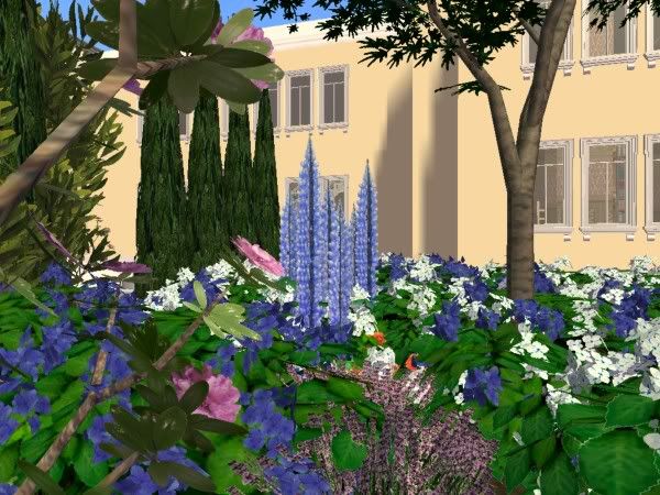 snapshot_0000004f_faf00e28.jpg