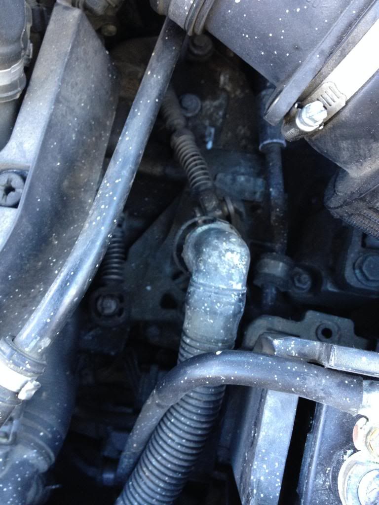 Squealing noise coming from accessory belt VW Vortex Volkswagen Forum