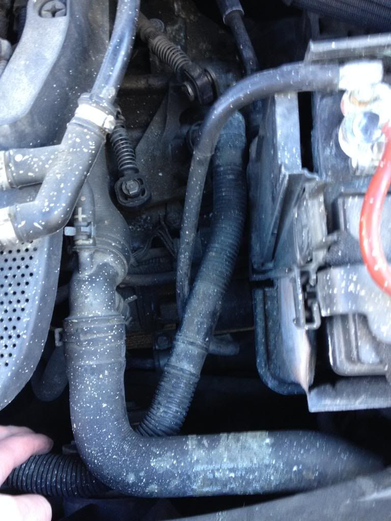 Squealing noise coming from accessory belt VW Vortex Volkswagen Forum