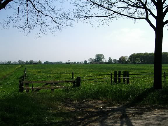 DSCI5572.jpg