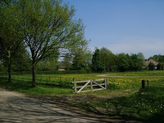 DSCI5573.jpg