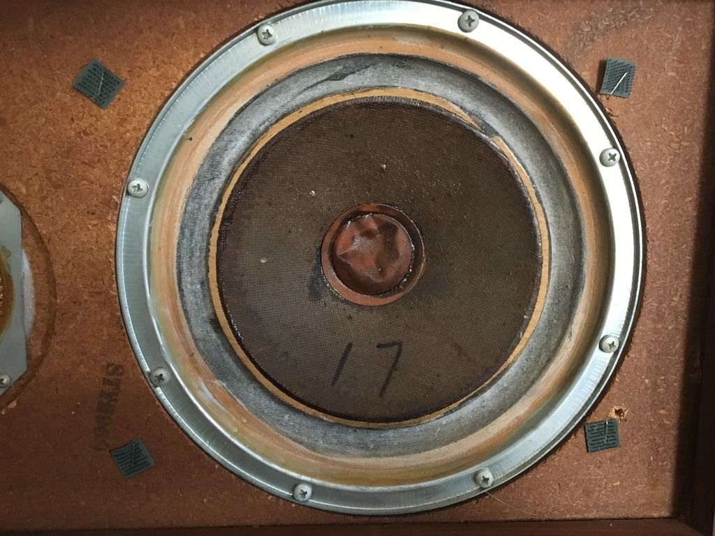 speaker without dust cap