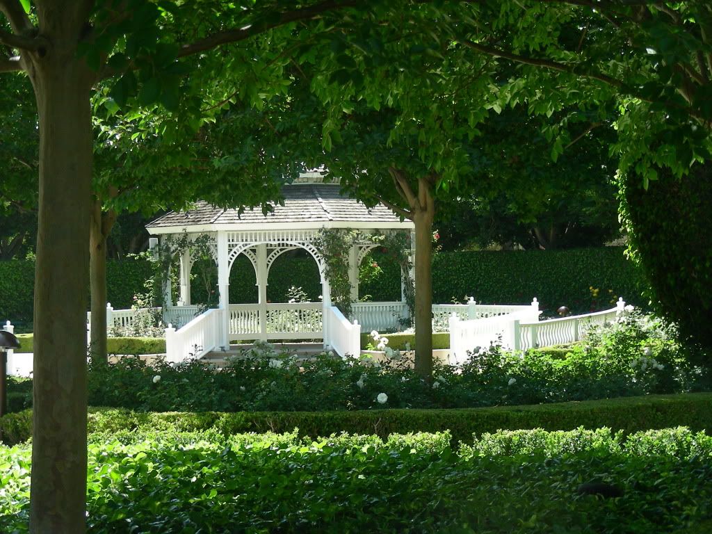 DSCN2081.jpg