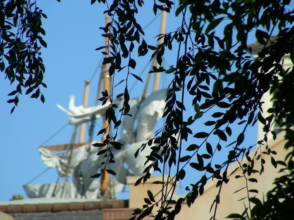 DSCN2083.jpg