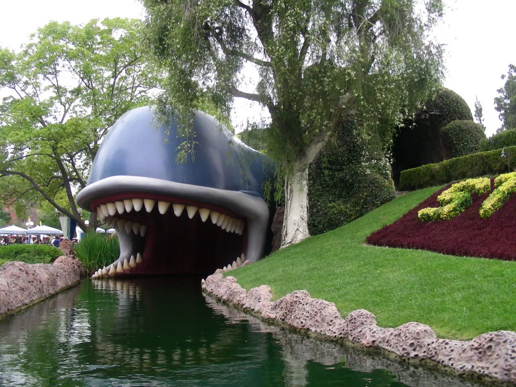 DSCN2106.jpg