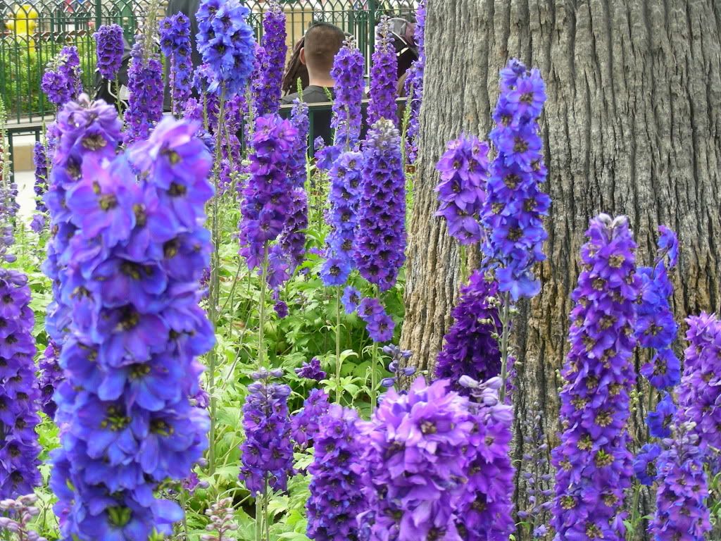 DSCN2131.jpg