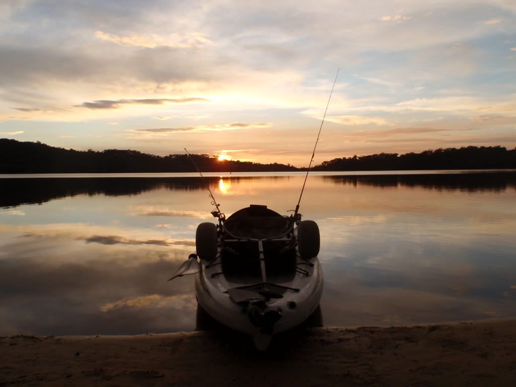 Narrabeen Beach Fishing Reports Fishraider