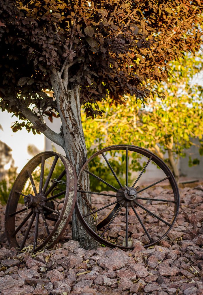 IMAGE: http://i1200.photobucket.com/albums/bb326/dncingsugarplum/Kyle/Photography/DSC_1439.jpg