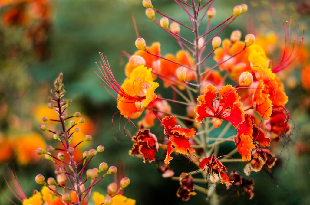 IMAGE: http://i1200.photobucket.com/albums/bb326/dncingsugarplum/Kyle/Photography/DSC_1460.jpg