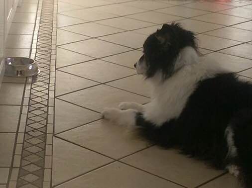 IMG_0078_zpsdkl8qupt.jpg~original