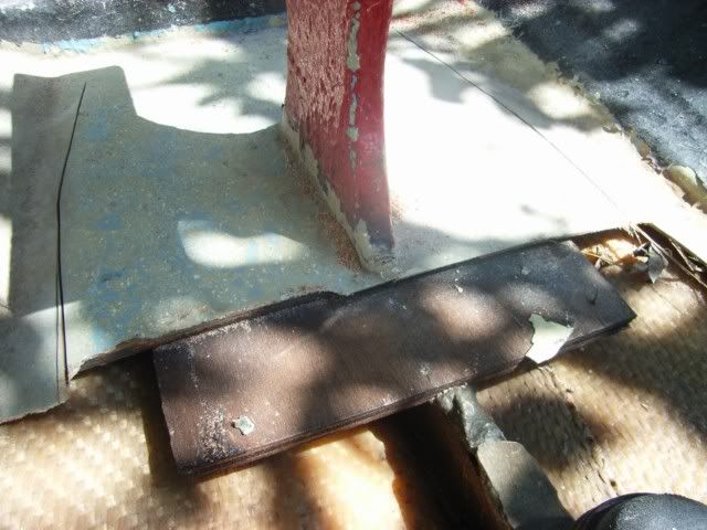 RIMG0439.jpg