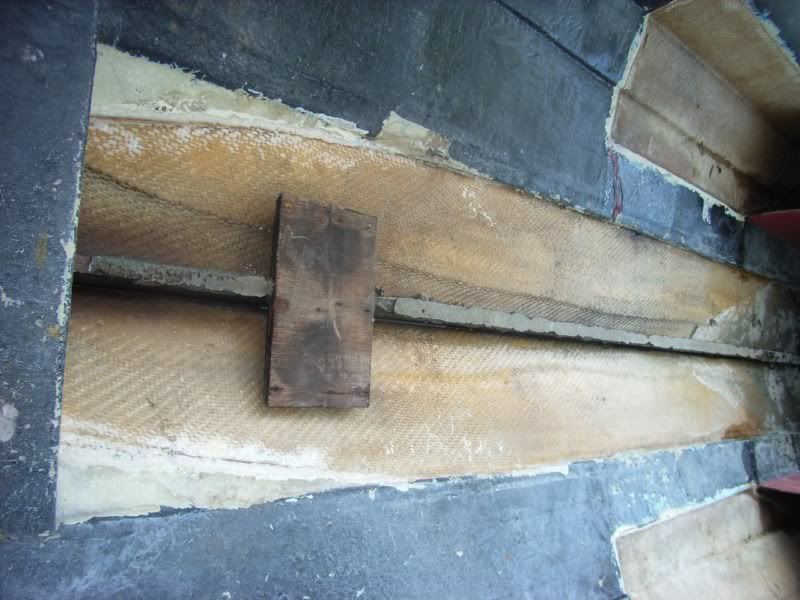 RIMG0455.jpg