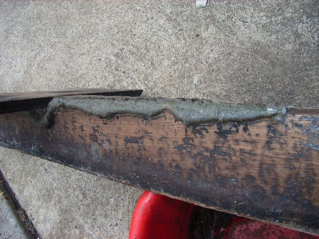 RIMG0459.jpg