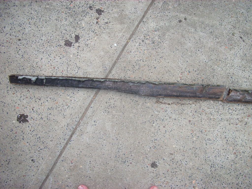 RIMG0460.jpg