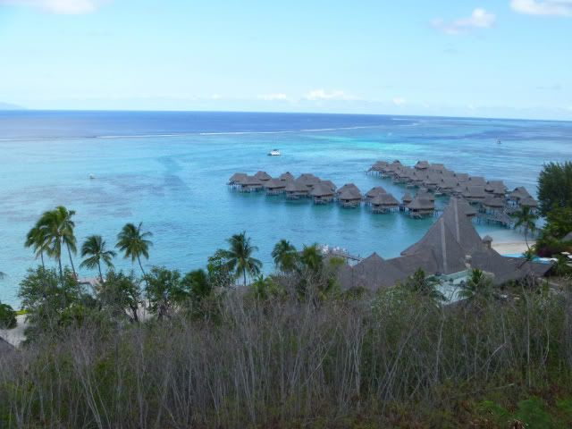 POLINESIA FRANCESA - SEPTIEMBRE 2011 - Blogs of French Polynesia - DÍA 4: MOOREA EN TODO SU ESPLENDOR!!!! (11)