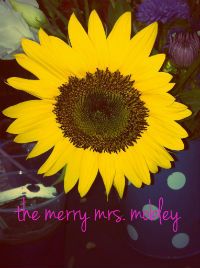 themerrymrsmobley