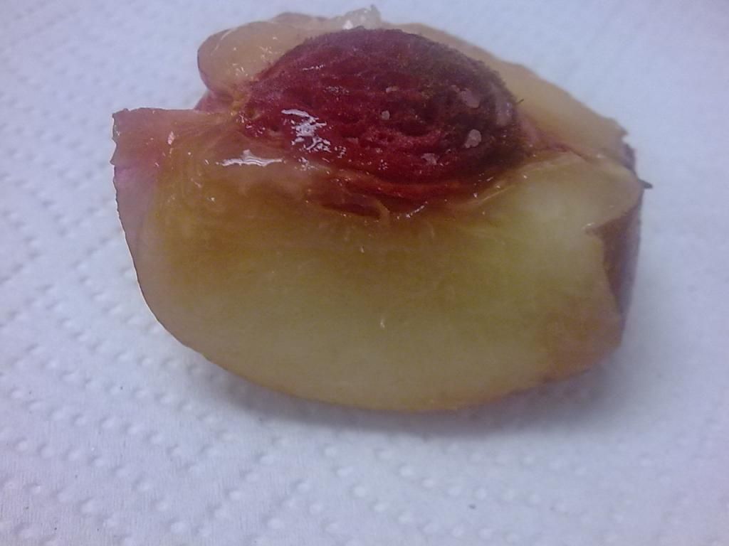  photo Image652_zpse96e3e82.jpg