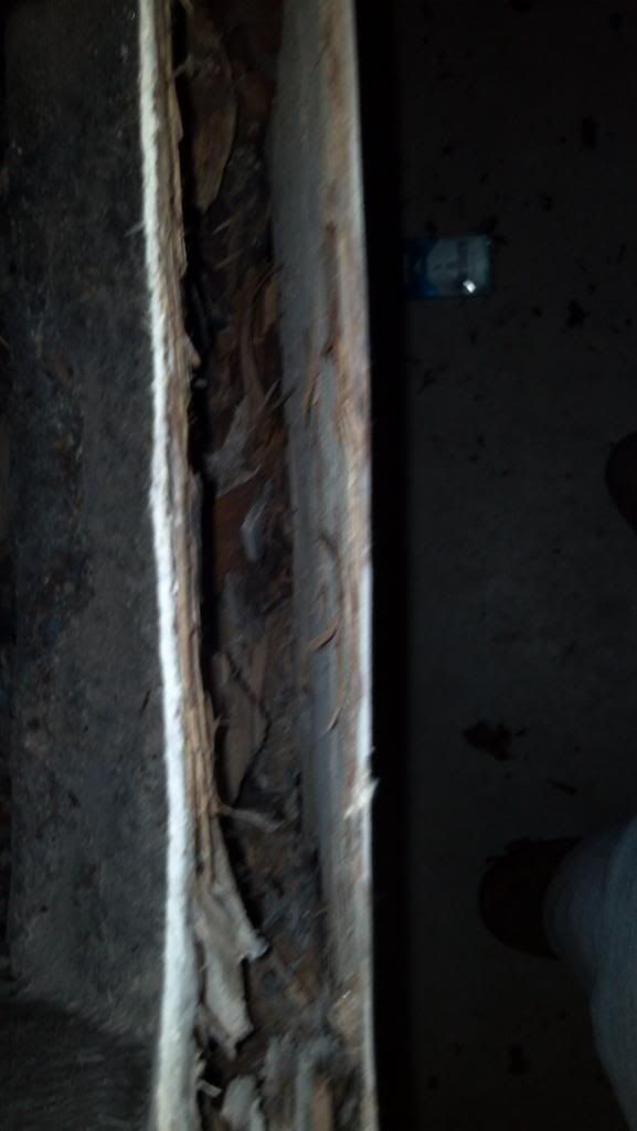 2011-08-06_17-42-54_533.jpg