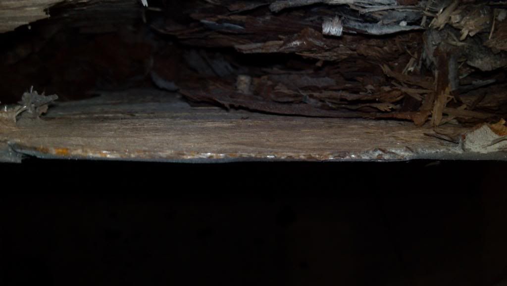 2011-08-06_17-43-27_581.jpg