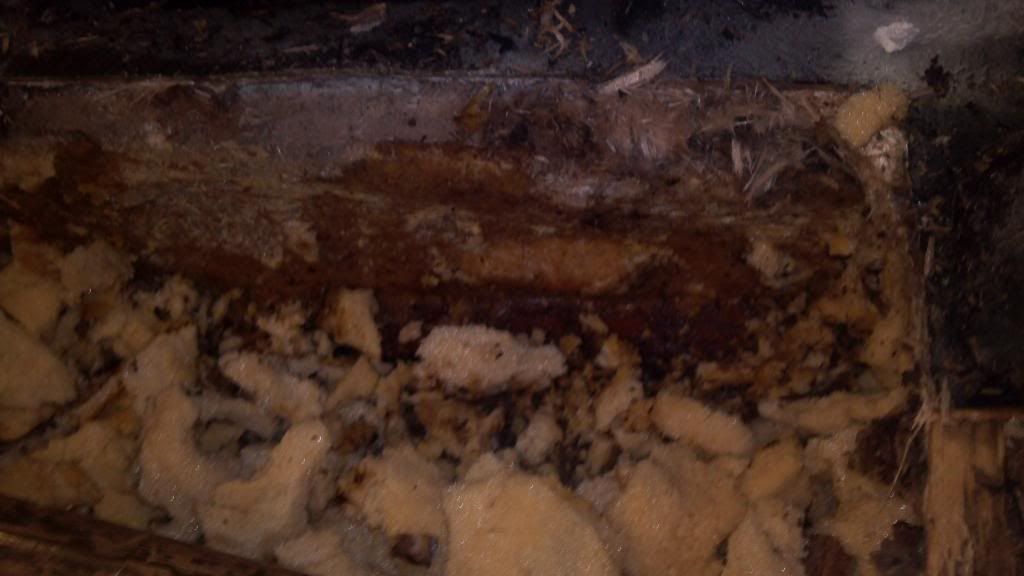 2011-08-07_16-42-19_469.jpg