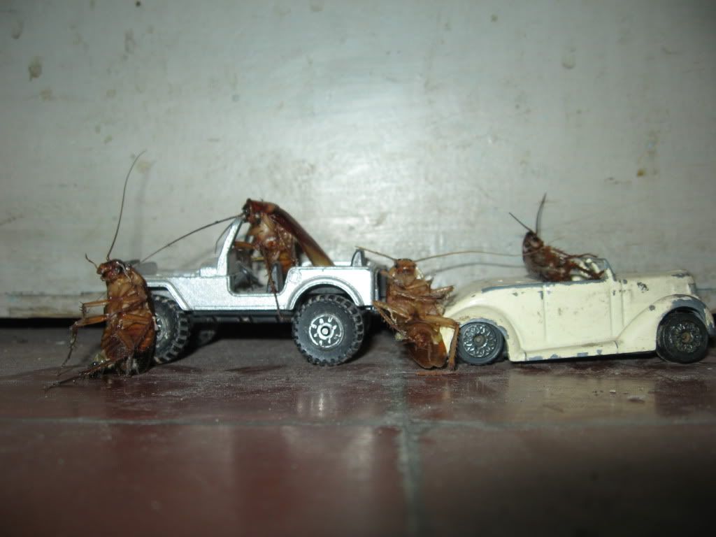imagenes imagenes