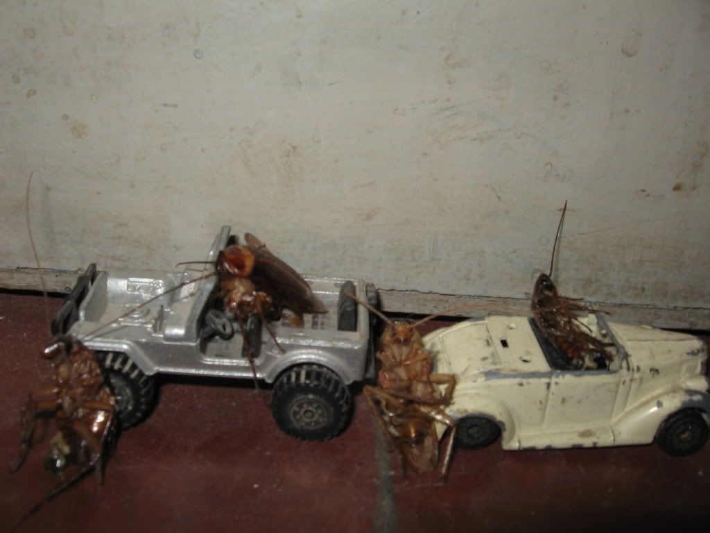 en auto en auto