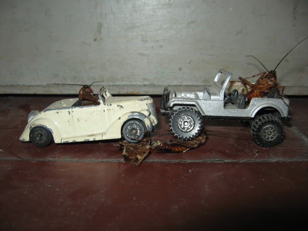 cucarachas cucarachas