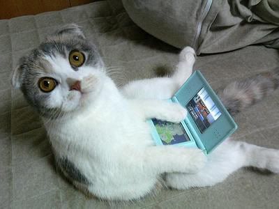 Game-for-Cats.jpg