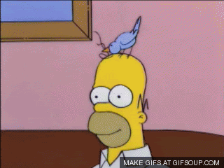 HomerandBirdGif.gif