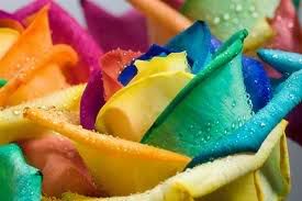 images34-1.jpg