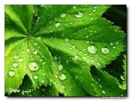 images59.jpg