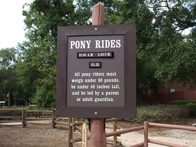 Ponyrides.jpg