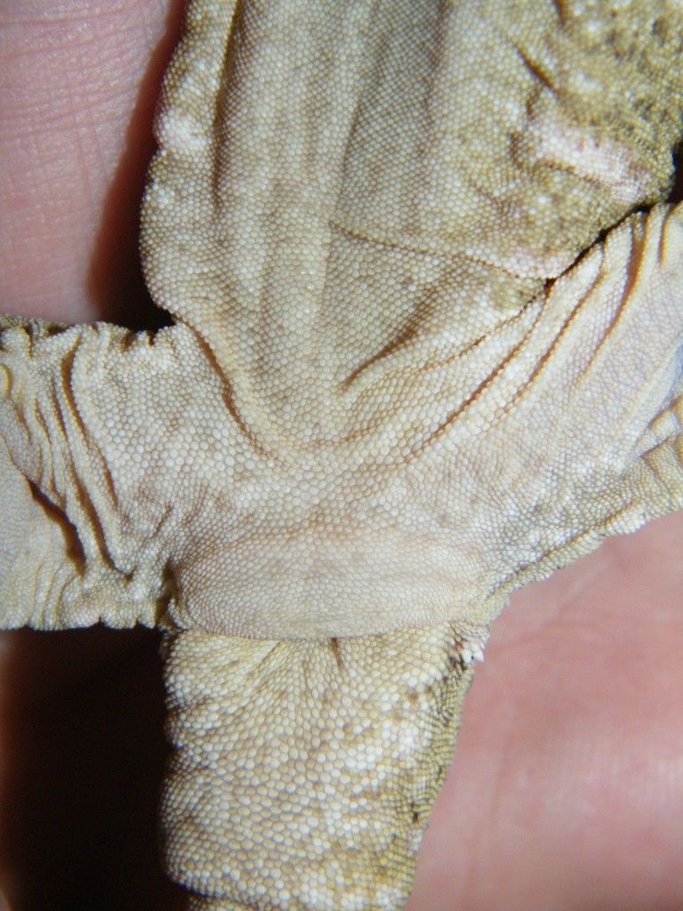 foto338_zps560810d1.jpg