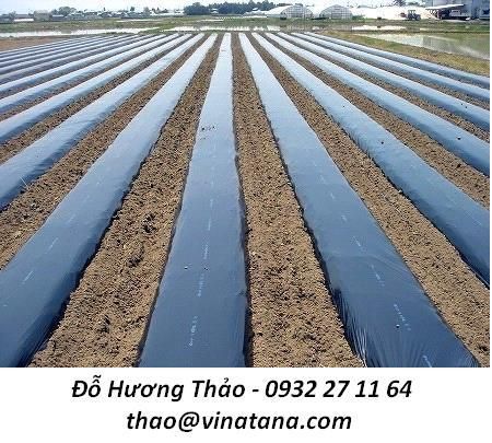 mang-phu-nong-nghiep-mang-chong-tham-hdpe11_zpsrehj7reg.jpg