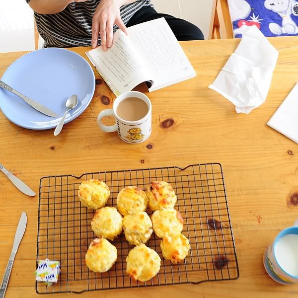 breakfast: pumpkin&cheese scones