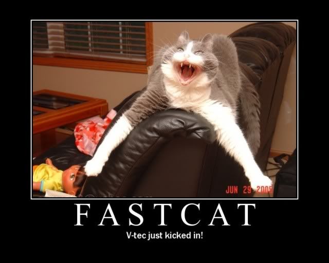 fastcat-vtec-just-kicked-in.jpg