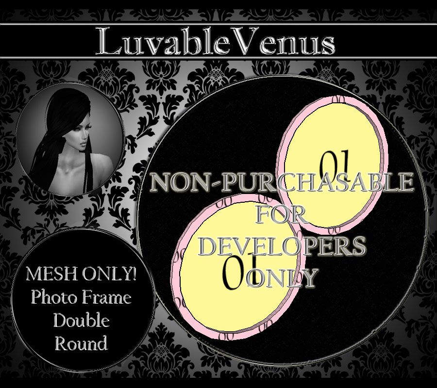 [LV] Mehs Photo Frame Double Round photo LV Mesh Photo Frame Double Round_zpshwl7ttcx.jpg