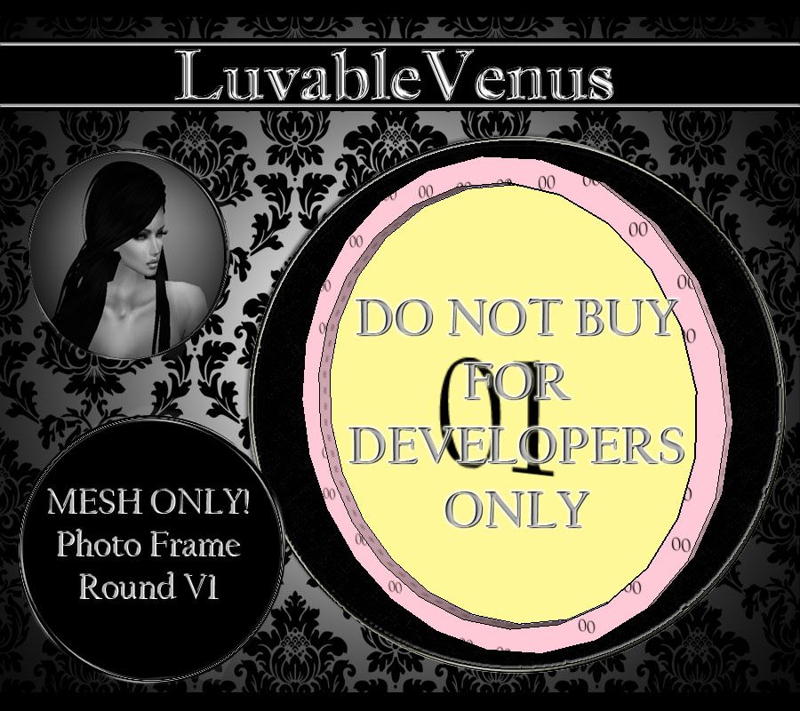 [LV] Mesh Photo Frame Rd V1 photo LV Mesh Photo Frame Round V1_zpszlldmqpw.jpg
