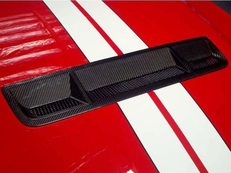  photo 2010-2012-ford-mustang-gt500-carbon-fiber-grille-insert-oem-style-1_zpsltcgvryk.jpg