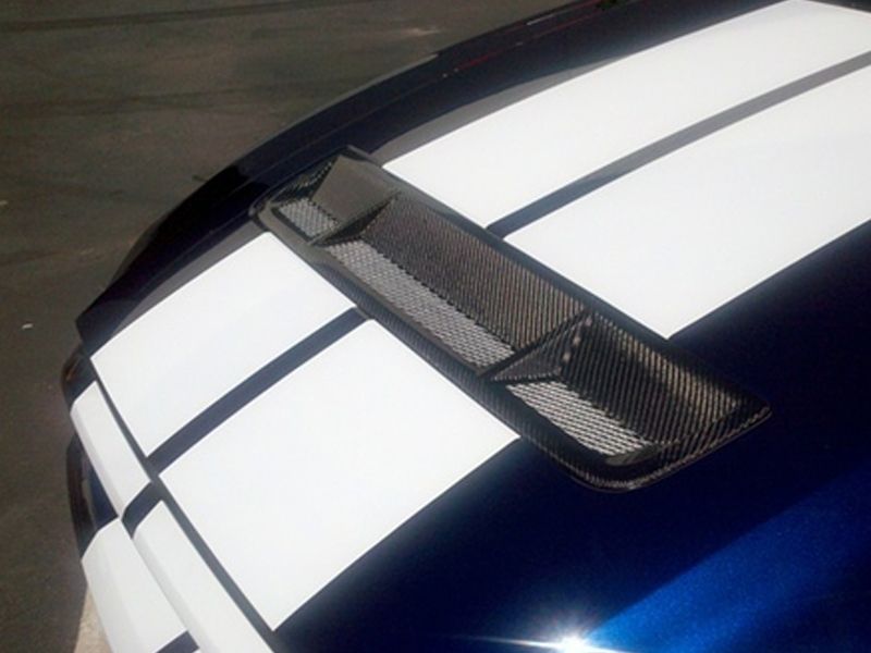  photo 2010-2012-ford-mustang-gt500-carbon-fiber-grille-insert-oem-style-2_zpswohewccm.jpg