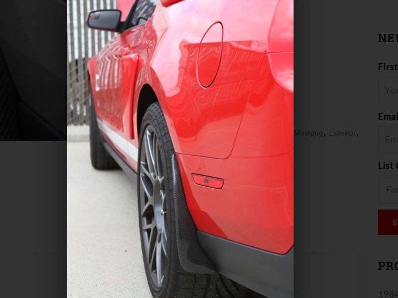  photo 2010-2014 Mustang Carbon Fiber LG48 Splash Guards_zpsu1cyyvos.jpg