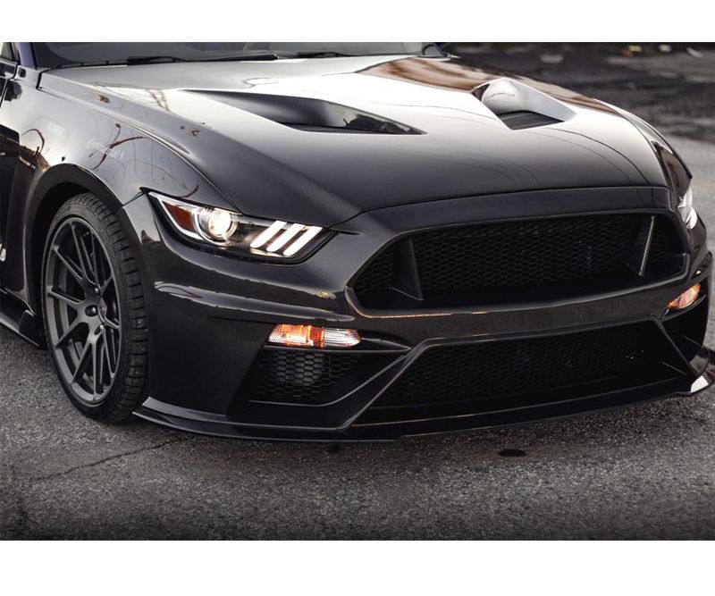  photo 2015 - 2017 Mustang Carbon Fiber Type-TT 2_zpsszdlg3lk.jpg