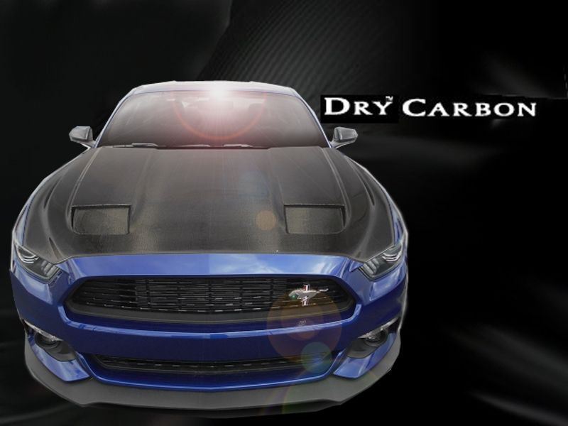 2015-2016 Ford Mustang Carbon Creations DriTech MK7 Look Hood photo 2015-2016 Ford Mustang Carbon Creations DriTech MK7 Look Hood_zpsmvmooq2v.jpg