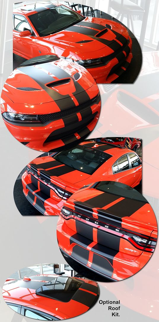  photo 2015-2016-charger-hellcat-rally-stripes-factory-style-graphics-kit-1_zpsum8z5qbo.jpg