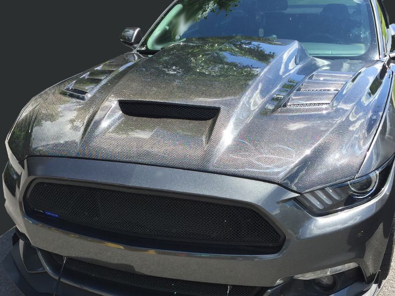  photo 2015-2017  Mustang Terminator hood carbon FIber_zpsiwzgw4kq.jpg