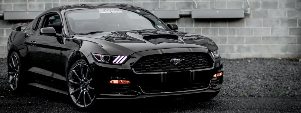  photo 2015-2017 Mustang Mantis Carbon Fiber Hood Banner_zps5pukencc.jpg