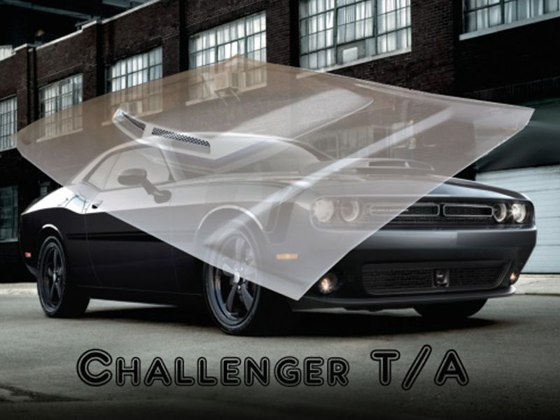  photo 2008-2019 Challenger TA Hood_zpsuiz8iiua.jpg