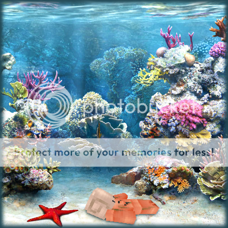 Hermit_CrabCoral_Reef-png